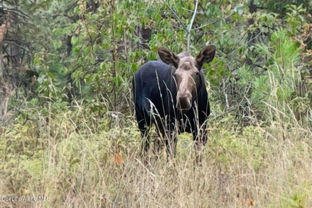 1238 S Reynolds Rd, Coeur D'alene, ID 83814