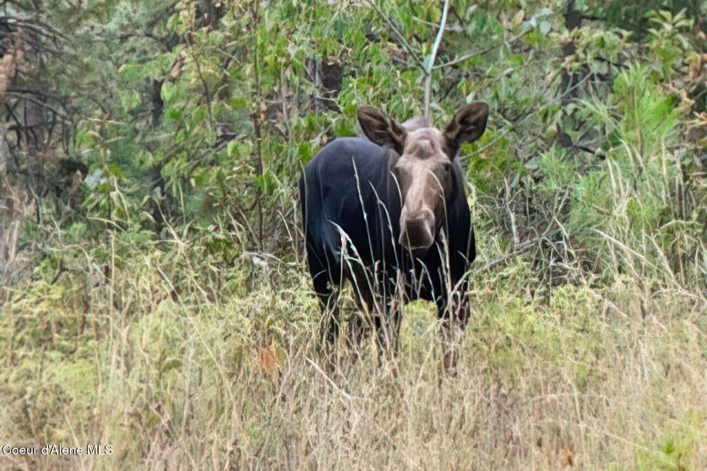 1238 S Reynolds Rd, Coeur d'Alene, ID 83814 photo 20