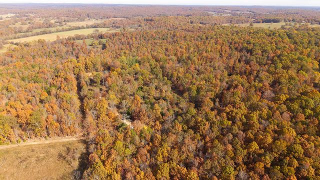 755 County Road 224a, Alton, MO 65606