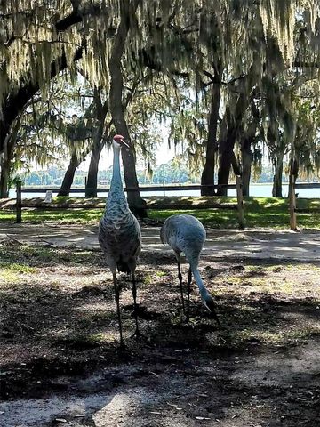 25164 NE 140TH LOOP 239, Salt Springs, FL 32134