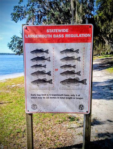 25164 NE 140TH LOOP 239, Salt Springs, FL 32134