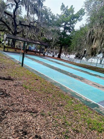 25164 NE 140TH LOOP 239, Salt Springs, FL 32134