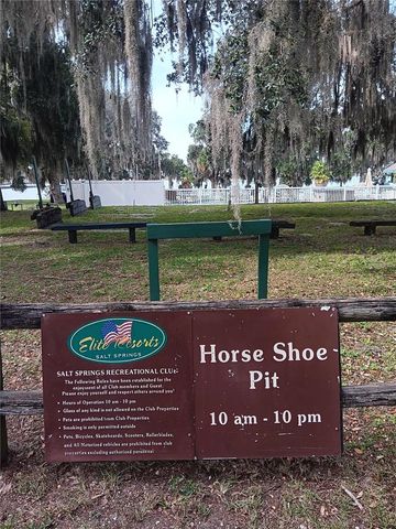 25164 NE 140TH LOOP 239, Salt Springs, FL 32134