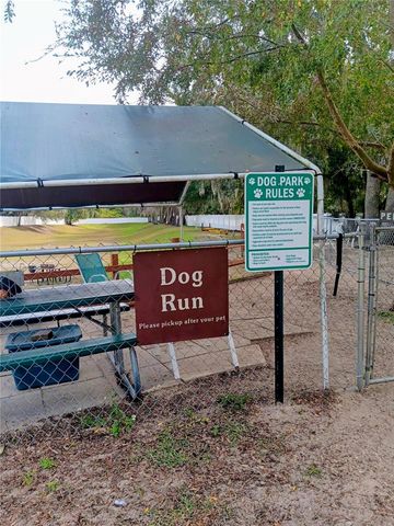 25164 NE 140TH LOOP 239, Salt Springs, FL 32134