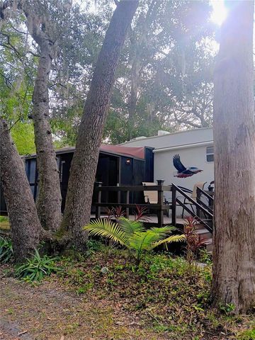 25164 NE 140TH LOOP 239, Salt Springs, FL 32134