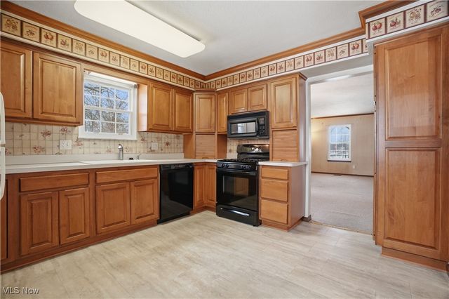 9536 Brimfield Drive, Mentor, OH 44060