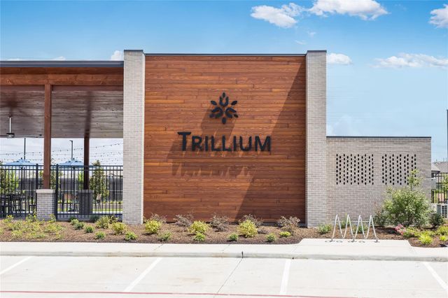 9638 Pink Lotus Court, Richmond, TX 77407