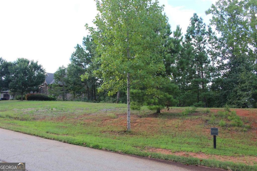 334 Edgewater Trail S, Toccoa, GA 30577 — exterior