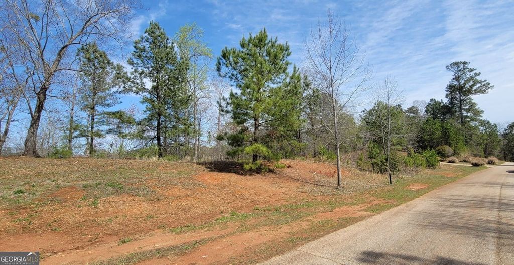334 Edgewater Trail S, Toccoa, GA 30577 — photo 3