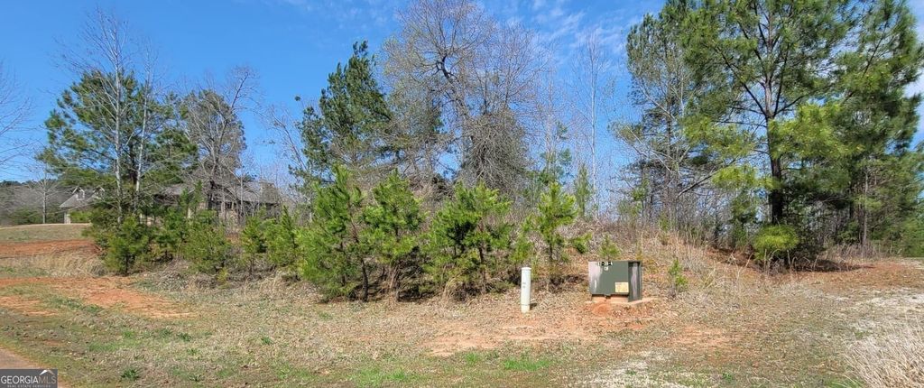 334 Edgewater Trail S, Toccoa, GA 30577 — photo 4