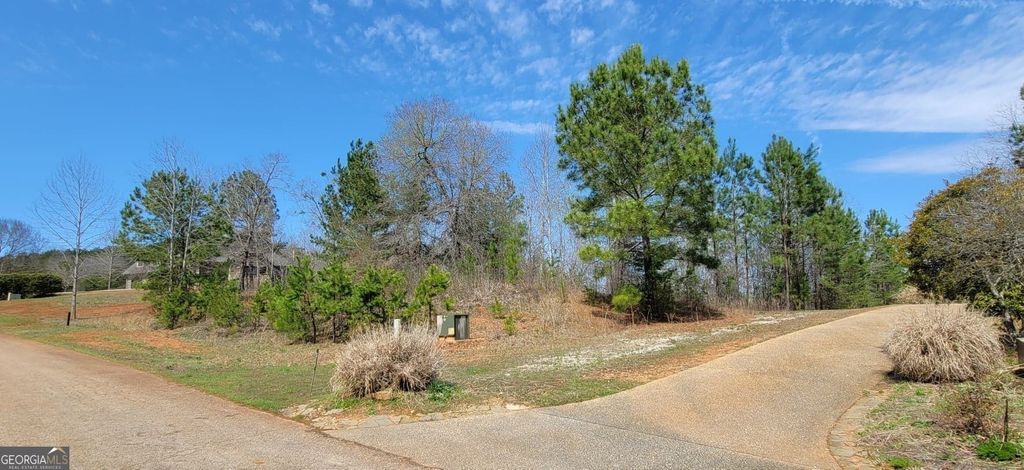 334 Edgewater Trail S, Toccoa, GA 30577 — photo 5
