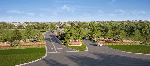 8545 Texas Ash Drive, Justin, TX 76247