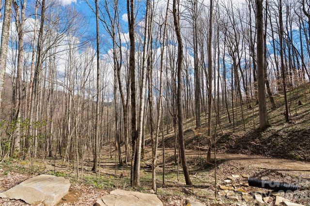23 Forbidden Cove, Waynesville, NC 28785