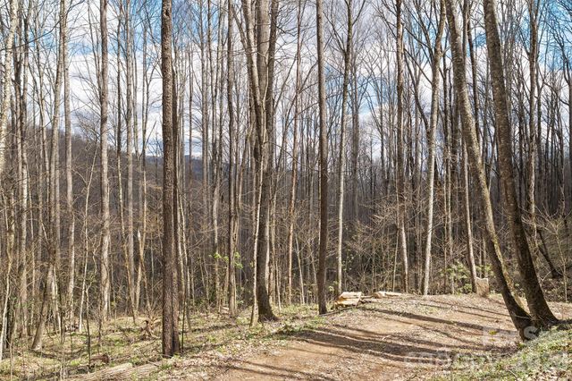 23 Forbidden Cove, Waynesville, NC 28785