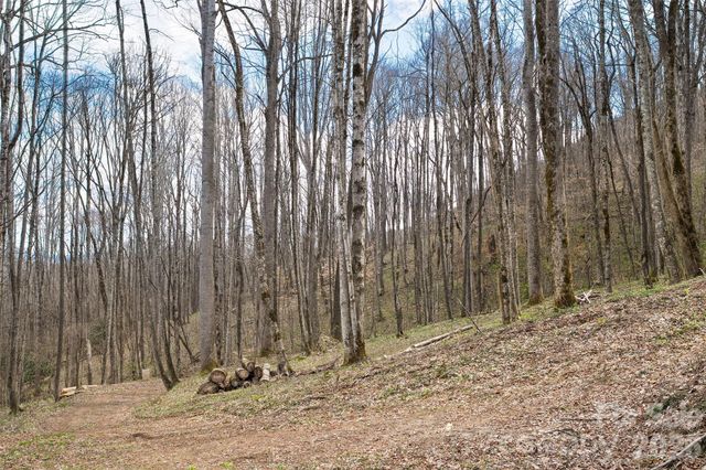 23 Forbidden Cove, Waynesville, NC 28785