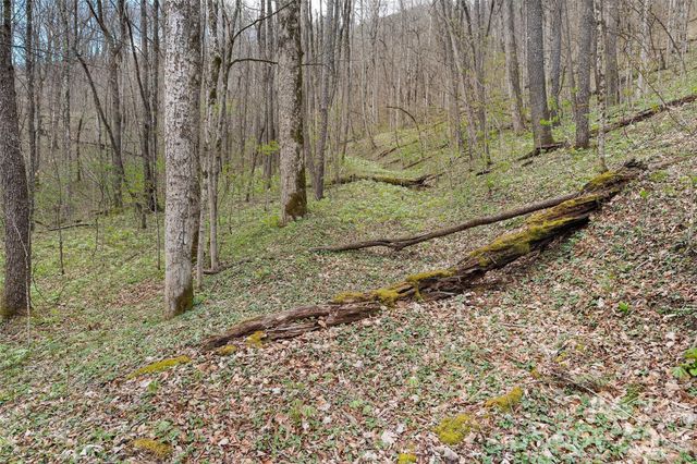 23 Forbidden Cove, Waynesville, NC 28785