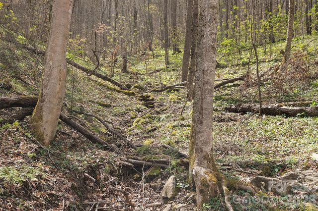 23 Forbidden Cove, Waynesville, NC 28785