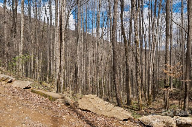 23 Forbidden Cove, Waynesville, NC 28785