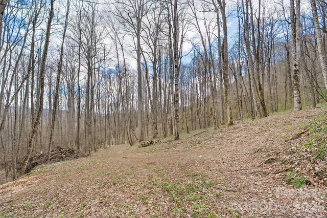 23 Forbidden Cove, Waynesville, NC 28785