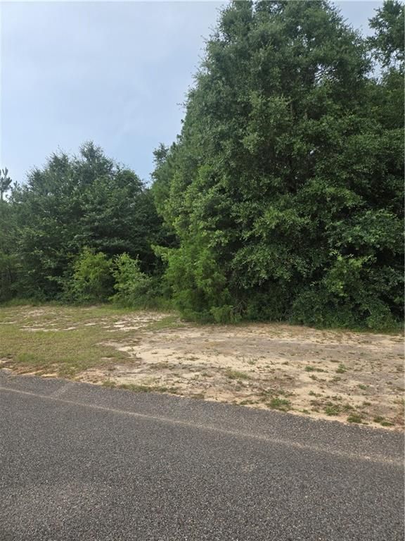 0 Haley Drive, Mobile, AL 36618 — photo 2