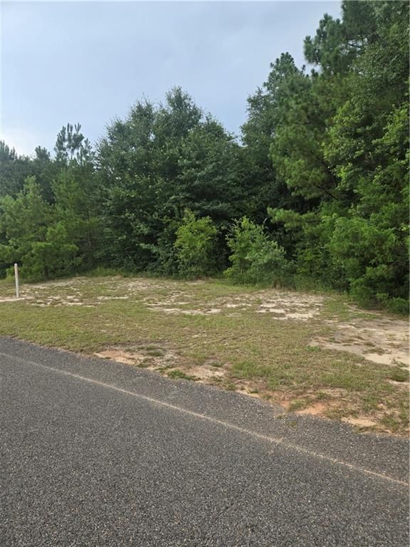 0 Haley Drive, Mobile, AL 36618 — photo 3