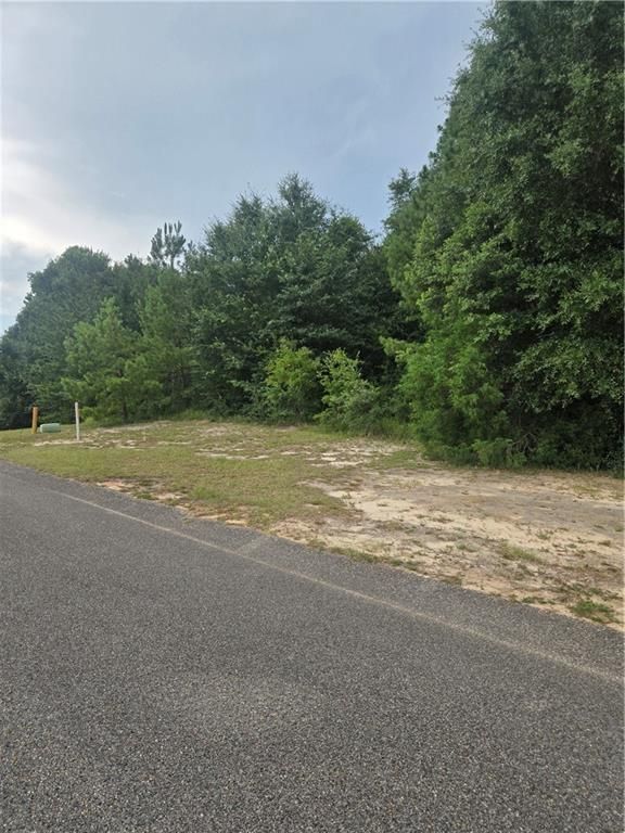 0 Haley Drive, Mobile, AL 36618 — photo 4