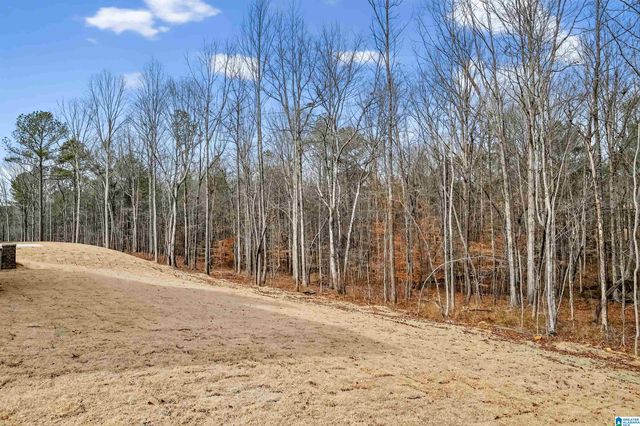 1118 GREY OAKS VALLEY, Pelham, AL 35124