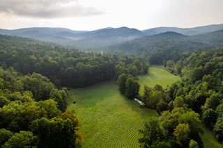 228 Holly Branch Drive, Ellijay, GA 30540