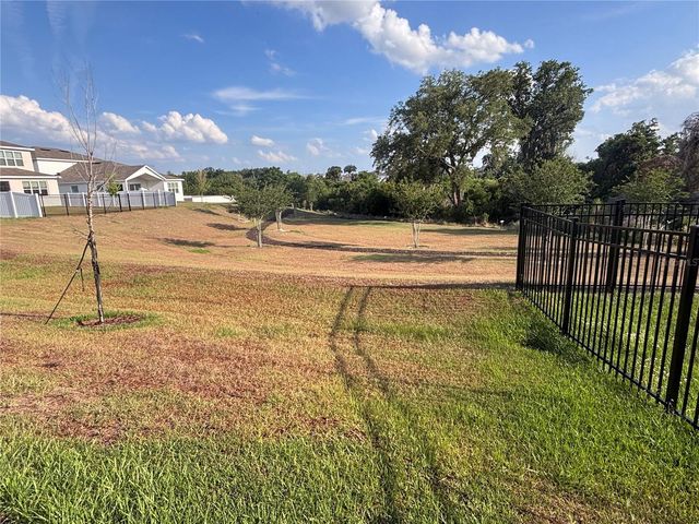 873 GREEN ENGLISH STREET, Apopka, FL 32703