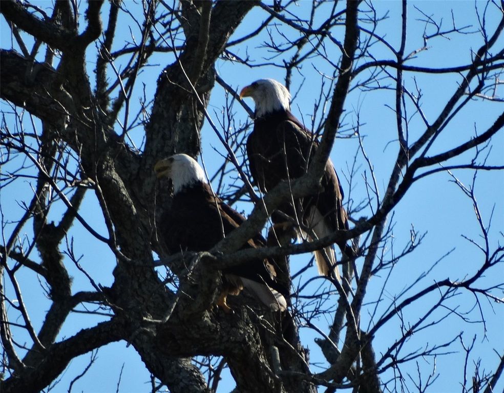 Image 43 of property listing at 2810 Precinct Line Road, Richmond, TX 77406