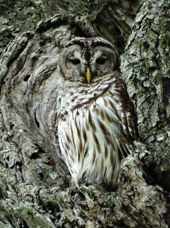 Image 44 of property listing at 2810 Precinct Line Road, Richmond, TX 77406