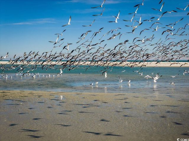 83 Grackle Ln., Pawleys Island, SC 29585