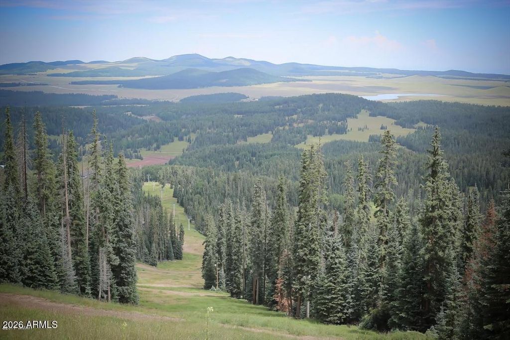 Image 35 of property listing at 2339 Northwind Drive 6, Pinetop, AZ 85935