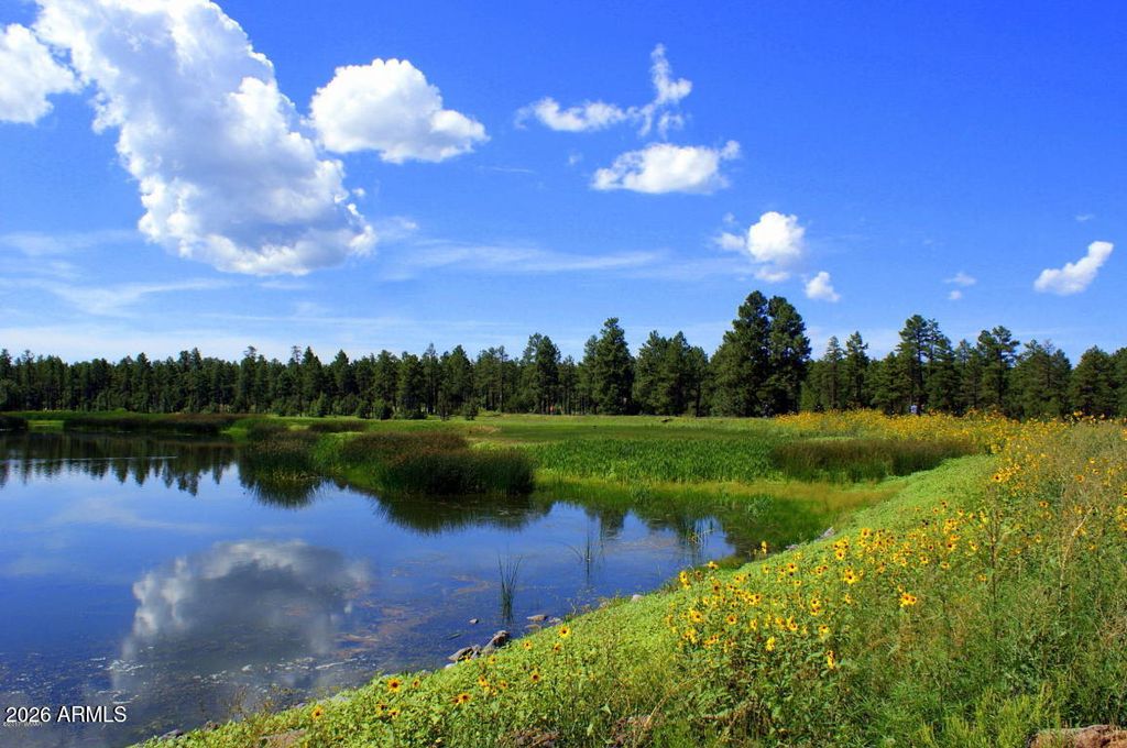 Image 41 of property listing at 2339 Northwind Drive 6, Pinetop, AZ 85935