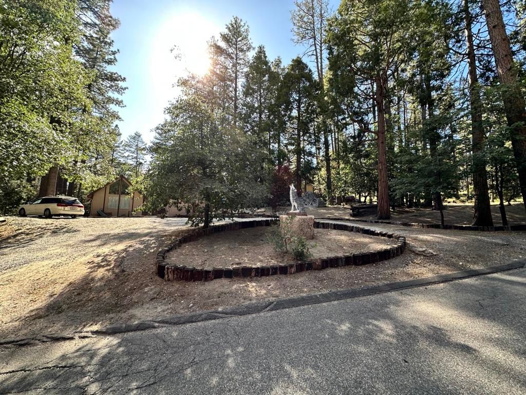 26305 Delano Drive, Idyllwild, CA 92549
