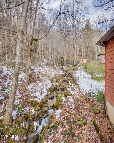 139 Charlie Harrell Lane, Hampton, TN 37658