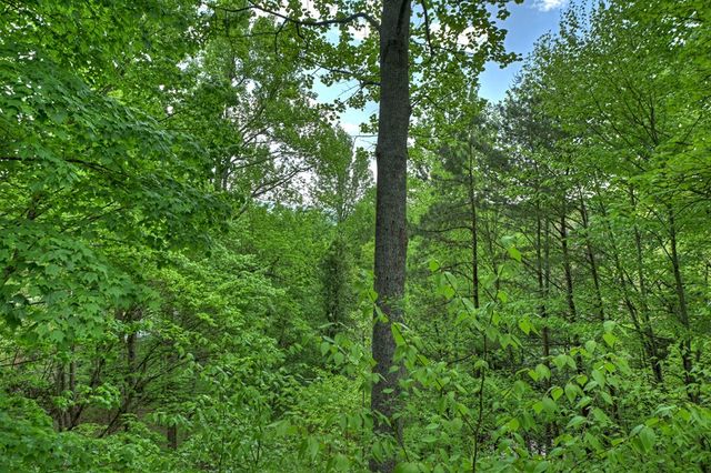 134 Mountain Hideaway Lane, Blue Ridge, GA 30513