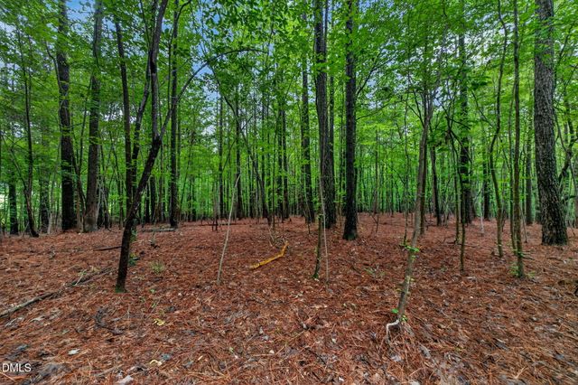 65 Summit Ridge Court, Youngsville, NC 27596