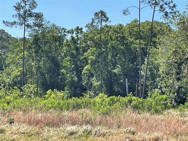 AVONWOOD, Tampa, FL 33625