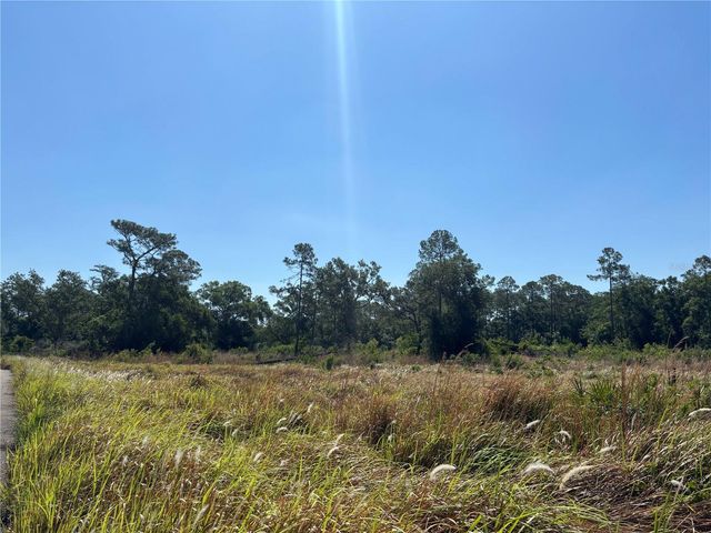 AVONWOOD, Tampa, FL 33625