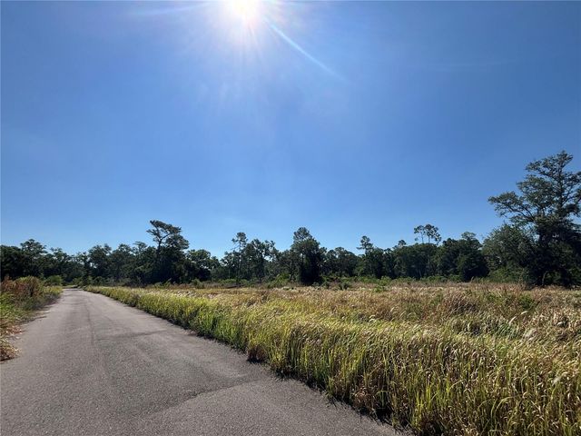 AVONWOOD, Tampa, FL 33625