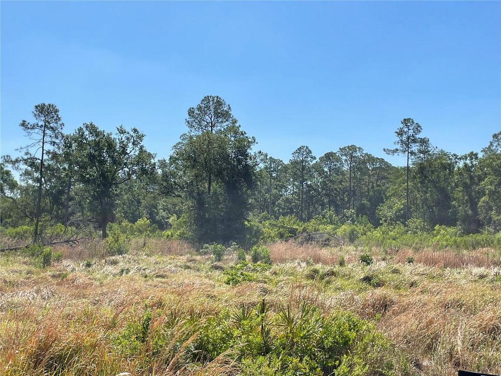 AVONWOOD, Tampa, FL 33625