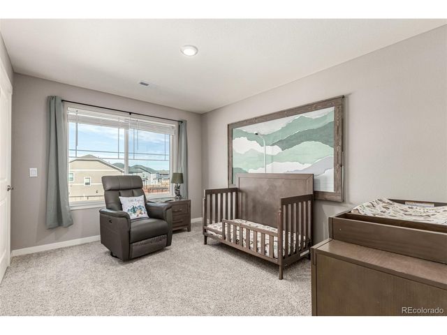 17200 Red Cosmos Pt, Parker, CO 80134