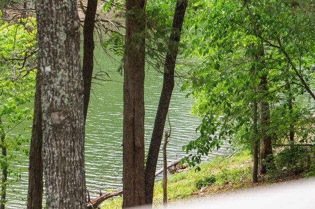 27278 Timber Springs Road, Shell Knob, MO 65747