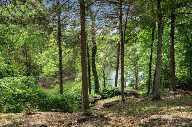 27278 Timber Springs Road, Shell Knob, MO 65747