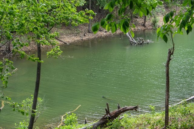 27278 Timber Springs Road, Shell Knob, MO 65747