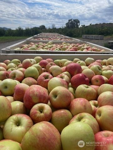 223 Old Riverside Hwy, Omak, WA 98841