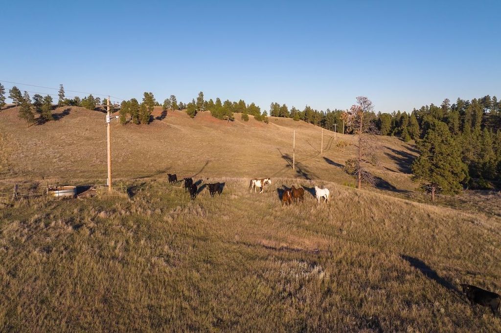 979 Bitter Creek Road, Recluse, WY 82725 photo 14
