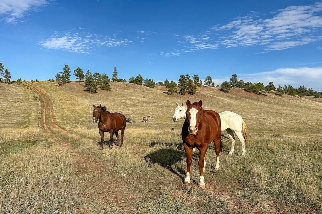 979 Bitter Creek Road, Recluse, WY 82725 photo 15