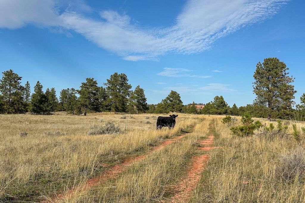 979 Bitter Creek Road, Recluse, WY 82725 photo 16